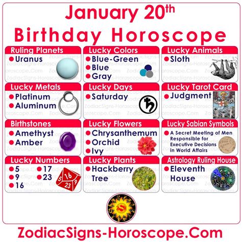 01/20星座|January 20 Zodiac